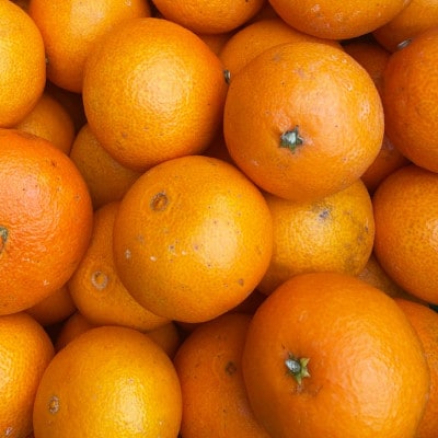 【ご家庭用】紅まどんな と同品種 愛媛果試28号 3.5kg 八幡浜市【D25-372】【1717457】