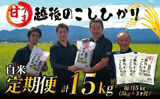【令和7年産 定期便3ヵ月】定期便 コシヒカリ 白米 5kg 3ヵ月 15kg 令和7年産 甘うま越後の こしひかり 米 お米 こめ 新潟米 新潟県産 新潟産 新潟 新潟県 新発田産 新発田 新発田市 斗伸 toushin04501