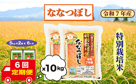 【定期便6回】北海道奈井江町　特別栽培米　ななつぼし　10kg
