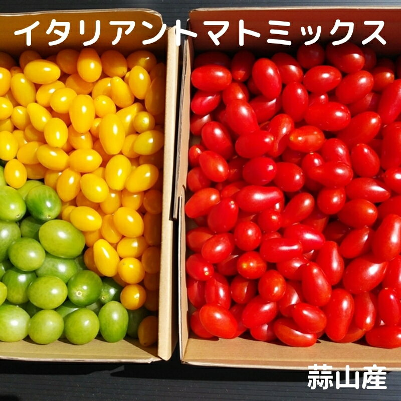 【ふるさと納税】亮麻農園　イタリアントマトミックス「ロッソナポリタン」＆「ナポリターナカナリア」＆「サリーナエメラルド」＜2025年8月～10月ごろ順次発送予定＞ 野菜 新鮮 産地直送 旬野菜 旬