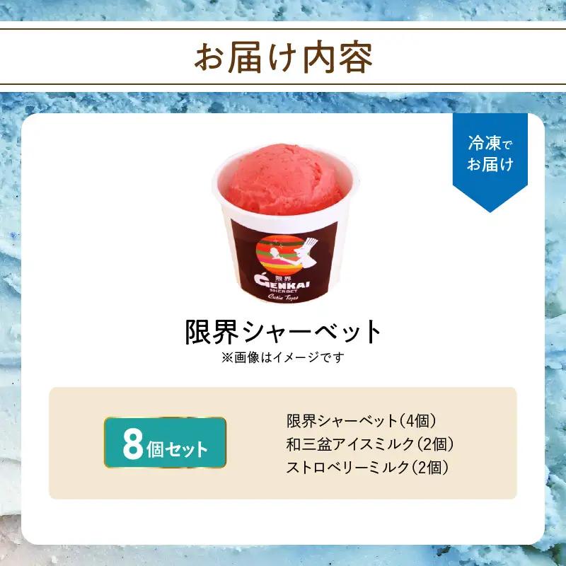 【お中元ギフト】 限界シャーベット 8個セット ≪7/1～8/9の期間に発送≫ J06005-S