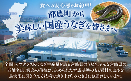 ≪定期便全3回≫4月・5月・6月お届け!!うなぎ蒲焼 超特大3尾 (総重量1.8kg以上) 鰻 魚 魚介 加工品 国産_T026-009