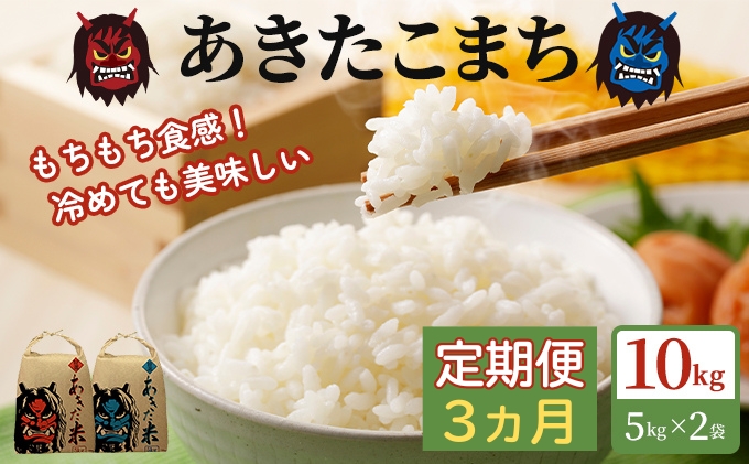 定期便 令和6年産 あきたこまち 精米 10kg（5kg×2袋）3ヶ月連続発送（合計 30kg）秋田県 男鹿市