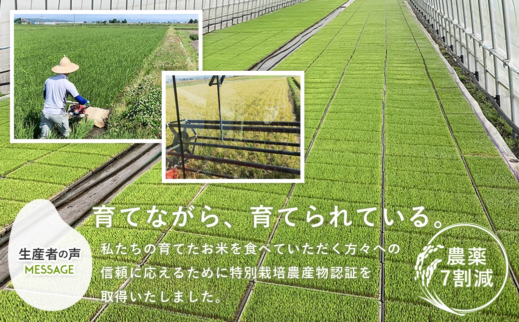 ふっくらレンジアップごはん【ゆめぴりか】一等米・特別栽培米
