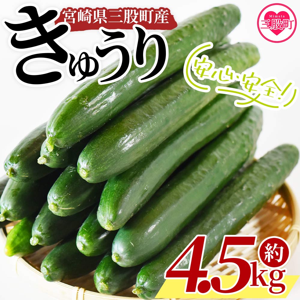 ＜【先行予約】【期間限定】パリッと甘い魔法のきゅうり マジキュー4.5kg＞(約4.5kg)パリッと甘い魔法のキュウリ「マジキュー」漬物や天ぷらに！【A-1901-yt】【ゆたか農園】