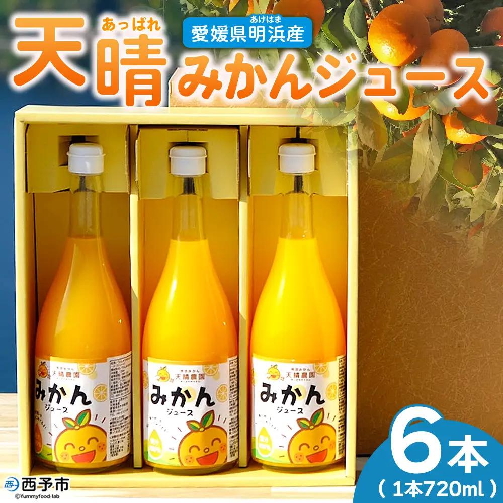 ＜愛媛県明浜産 天晴みかんジュース 720ml×6本セット＞ 蜜柑 みかん ミカン 果物 オレンジ 果汁 ジューシー フルーツ 温州みかん 飲料 ジュース 飲み物 セット 濃厚 株式会社笑丸 特産品 愛媛県 西予市 【常温】 『1か月以内に順次出荷予定』 AAN0060