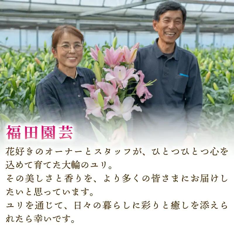  ユリ(オリエンタルリリー)5本 3ヶ月定期便【ユリ】