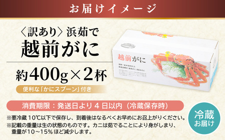 【先行予約】≪浜茹で≫ 地物！天然！はるか丸の船長が厳選した”訳あり”越前がに 約400g × 2杯【2024年12月上旬以降順次発送予定】[m36-x002_12]