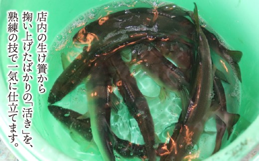 【期間限定】【岐阜県産】 活あゆ会席 お食事券（１名様分）｜岐阜 鮎 食事券 お造り 刺身 塩焼き 雑炊 フルコース 夏 隠れ家 グルメ 生け簀 ギフト プレゼント いのしし亭 桐山荘