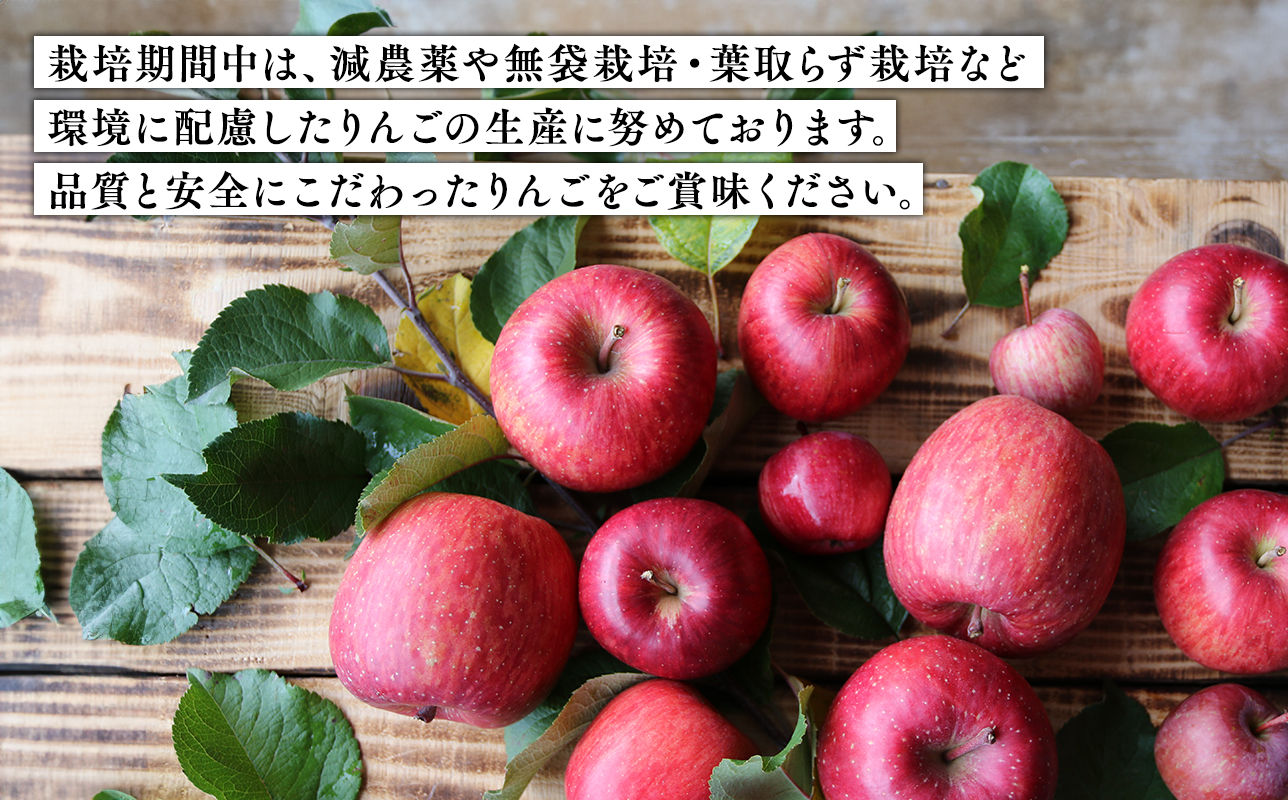 2025年産１１月〜４月発送　【訳あり】家庭用葉とらずサンふじ5ｋｇ　【そと川りんご園・１１月・１２月・１月・２月・３月・４月・青森県産・平川市・りんご・葉とらずサンふじ・5ｋｇ・訳あり・家庭用】