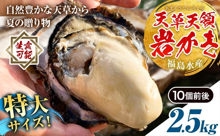 
                  天領岩牡蠣 約2.5kg 福島水産《2026年4月上旬-7月末頃出荷予定》熊本県 苓北町 牡蠣 かき カキ 岩カキ 岩ガキ 貝 BIG ビッグ 生食 特大 バーベキュー 夏天草 天領 苓北 熊本 旬 シーズン 送料無料【配送不可地域あり】
                