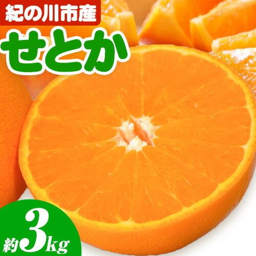 【ふるさと納税】せとか 紀の川市産 約 3kg ひろみ農園《2026年2月中旬-3月末頃出荷》和歌山県 紀の川市 柑橘 みかん フルーツ 果物