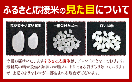 【3ヶ月定期便】米 無洗米 家庭用 熊本 ふるさと応援 定期便 米  10kg《申込み翌月から発送》 熊本県産 白米 精米 山江村 ブレンド米 国産 おうちご飯 予約 返礼品 発送 配送 SDGs わ