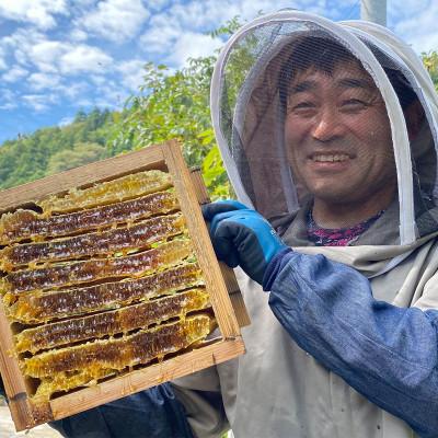 ふるさと納税 津和野町 津和野の木や花の蜜を集めた天然百花蜜「里山の雫」(315g×2瓶) |  | 02