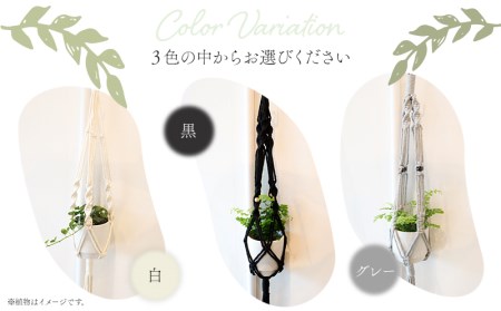 《白》季節の観葉植物と3色から選べるマクラメハンギングプランターのセット 観葉植物 飾り インテリア マクラメ編み マクラメ ハンギング プランター 鉢 白 ホワイト 手編み おしゃれ 植物 室内