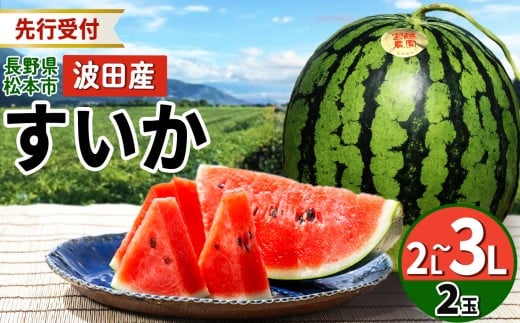 松本市 波田産 すいか 2玉入り（2L～３L,7kg～9kg)×２)│ 信州 松本市 長野県 西瓜 すいか 果物 スイカ フルーツ くだもの 新鮮 果汁 ジューシー 大きい ふるーつ