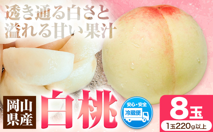 
            先行予約 岡山県産 白桃（1玉220g以上8玉入りロイヤル） 桃 もも 果物 フルーツ 令和7年産先行受付《2025年7月上旬-8月中旬頃出荷》【配送不可地域あり】H-25a
          