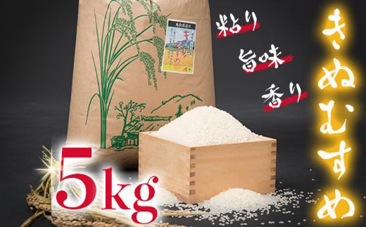 【令和7年産 新米】きぬむすめ5kg【令和7年10月以降発送】