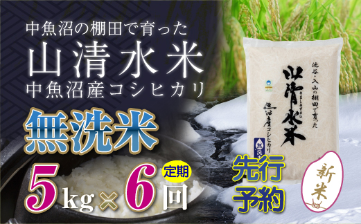 【新米先行受付】【定期便／全6回】無洗米5kg　新潟県魚沼産コシヒカリ「山清水米」