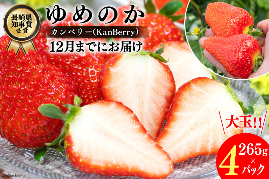 【期間限定発送】DF107 長崎県知事賞受賞【 大玉 いちご 】「 ゆめのか （3L～5L）」265g×4パック ＜12月までにお届け＞