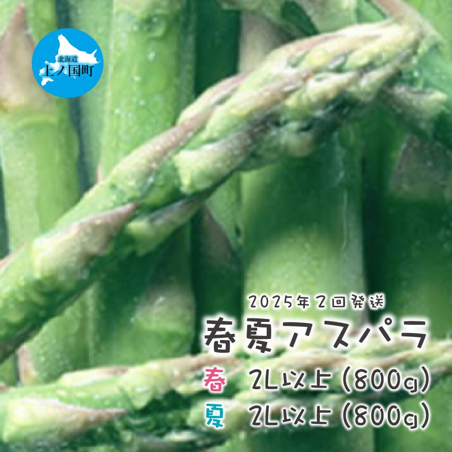 【2025年春夏発送】北海道上ノ国町産 朝採り当日発送 刀祢農園の春アスパラ2L以上（800g）と夏アスパラ2L以上（800g）の2回お届け