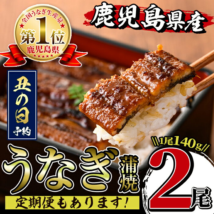 【ふるさと納税】回数が選べる！鹿児島県産うなぎ蒲焼(1回2尾 or 3回定期便 or 6回定期便) うなぎ 鰻 ウナギ 約140g 蒲焼き 国産 鹿児島県産 焼きたて 生産量日本一 真空パック おかず 晩御飯 特別な日 土用の丑の日 【薩摩川内鰻】