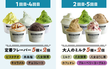 【全6回定期便】 ジェラート カップ 10個 ボトル 2個 アイス ジェラートセット [AGD011]