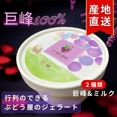 【ふるさと納税】福岡県　巨峰100%と巨峰とミルクのミックスジェラート(各80ml3個　合計6個セット)(大牟田市)【配送不可地域：離島】【1625457】