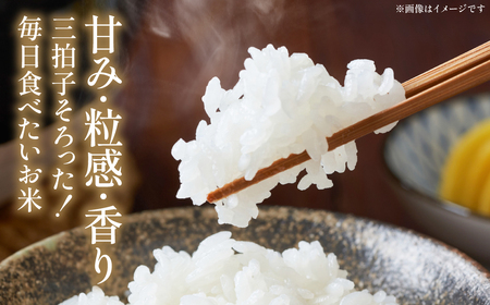 【ふるなびWEEK対象】【先行予約】《令和7年産》くまさんの輝き 5kg×2袋 合計10kg  熊本県 八代市産 米 お米 精米 白米 国産 【2025年11月下旬より順次発送】