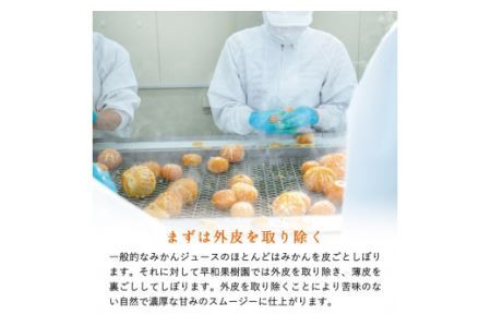 【早和果樹園】おふくろスムージー有田みかん12本入 飲むタイプのみかんゼリー(B622-3)