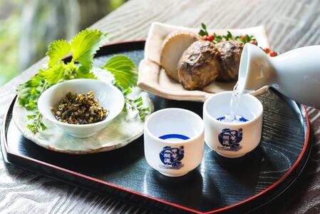 ＜富士山の日本酒 甲斐の開運＞雪解流（吟醸）・特別純米 北麓の飲み比べ（各720ml×１本）
