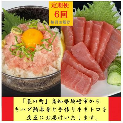 ふるさと納税 須崎市 【毎月定期便】『魚の町』高知県須崎市からキハダ鮪1kgとネギトロ1kgを交互にお届けします全6回