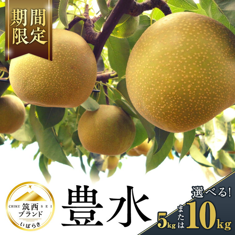 【ふるさと納税】【 JA 北つくば 】 筑西ブランド 認証品 豊水 ( 選べる 5kg 10kg ) 2025年産 先行予約 梨 果物 フルーツ なし ナシ 豊水梨 くだもの デザート 茨城