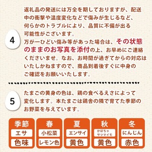 ＜数量限定＞香川県産 平飼いたまご(計30個・10個×3パック) 国産 卵 鶏卵 産地直送 ビタミン 新鮮 こだわり 安心 【man120】【翔洋舎】