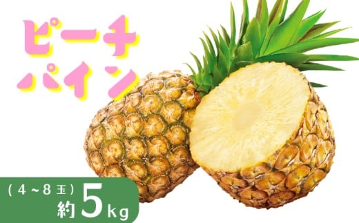 パイナップル ピーチパイン 約5kg 4～8玉 パイン 果物 フルーツ 沖縄 西表島【TOK:iふぁーむ】 配送不可：離島028-a005_2026
