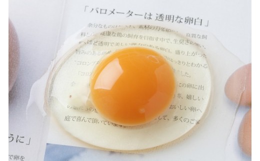 文字がはっきりとわかる程、透明な卵白！