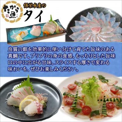 ふるさと納税 松浦市 おいしかタイ約1.2kg　〜津本式の血抜き仕立て〜 |  | 02