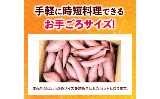 和歌山県のサツマイモ在来種小さめサイズ5kg《12月中旬‐4月下旬頃出荷》みはらファームさつま芋薩摩芋---wshg_mssi_b124_22_11000_5kg---