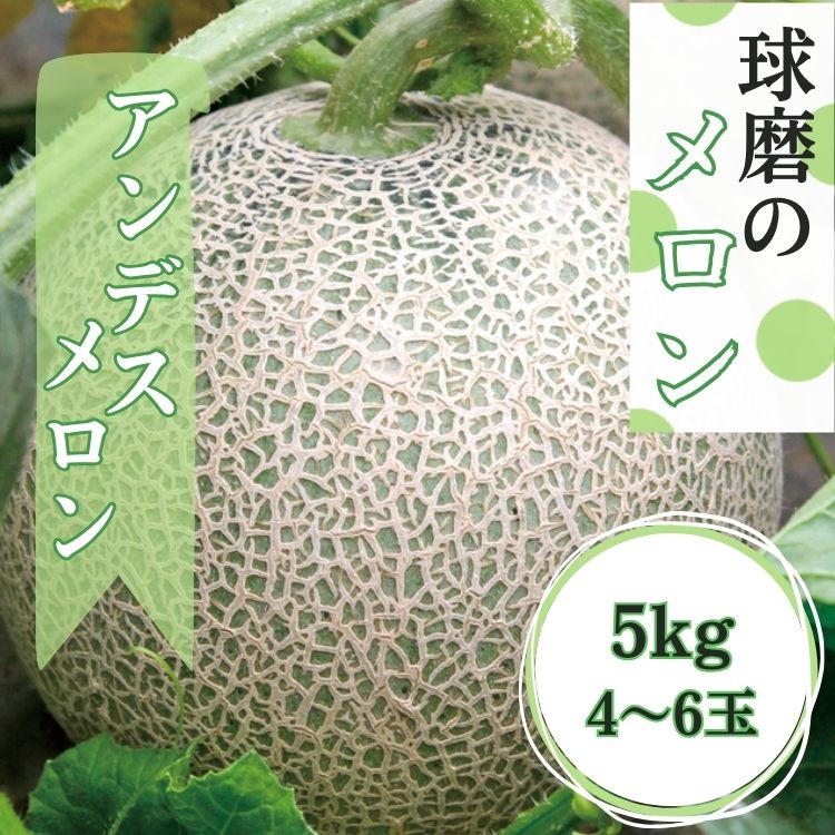 【ふるさと納税】熊本県JAくま産 アンデスメロン　5kg(4玉〜6玉)　 お届け時期：2024年5月上旬〜5月下旬