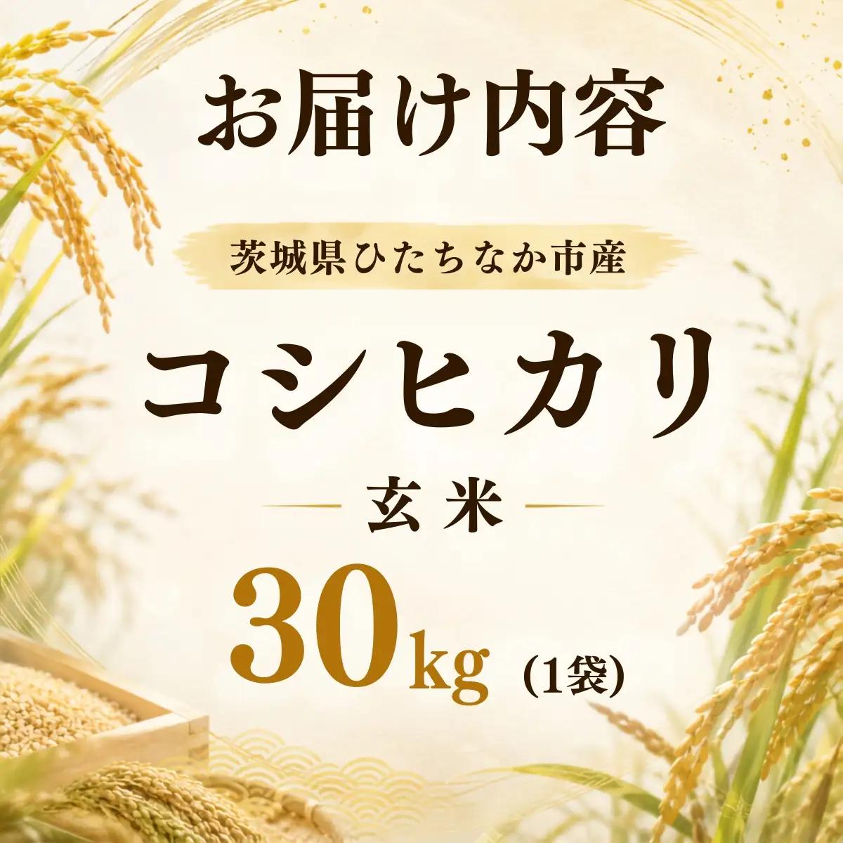令和8年度米 コシヒカリ 玄米 30kg 農家直送 | 新米 令和8年 先行受付 期間限定  