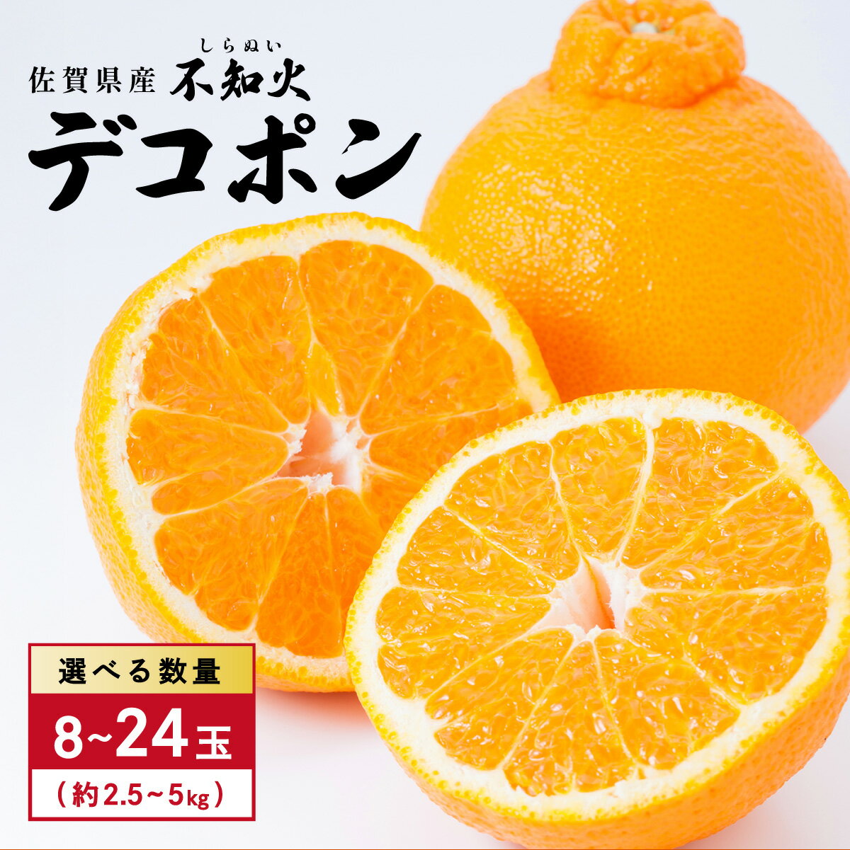 【ふるさと納税】＜選べる容量＞ [先行予約] 佐賀産 デコポン 8〜24玉／ふるさと納税 佐賀 フルーツ濃厚 甘い 酸味 大町 贈答 ギフト 贈り物 41nf-004 41nf-005