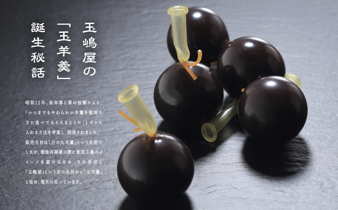 二本松の名物 銘菓《玉嶋屋の玉羊羹》10個入り【御菓子師 玉嶋屋】