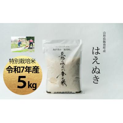 ふるさと納税 飯豊町 【令和7年産】至福の味わい、幸せ米。「はえぬき」精米 5kg