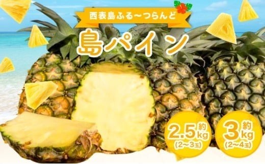 
                  【内容量が選べる】2027年 先行予約 島パイン (ハワイ種) 約2.5～3kg (2～4玉) パイナップルの王道 西表島産 パイン 果物 フルーツ
                