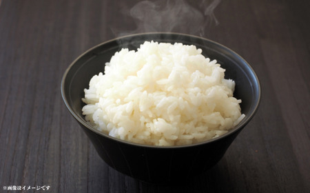 《6回定期便》神代米（粒すけ）　精白米　10kg ／ 米 こめ コメ ごはん ご飯 神代米 粒すけ 令和7年産 新米 精米 10kg 定期便 送料無料