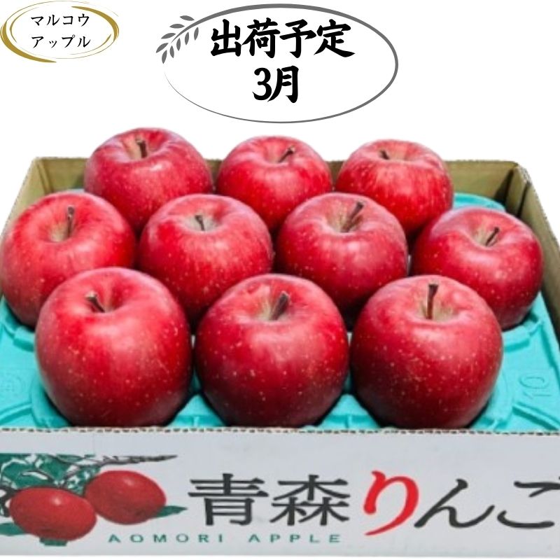 【ふるさと納税】【3月発送】特A 濃厚サンふじ約3kg 糖度13度以上【青森りんご・マルコウアップル】 　お届け：2026年3月1日～2026年3月31日