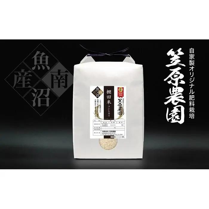 【令和7年】南魚沼産 笠原農園 棚田米コシヒカリ ５kg  | コシヒカリ