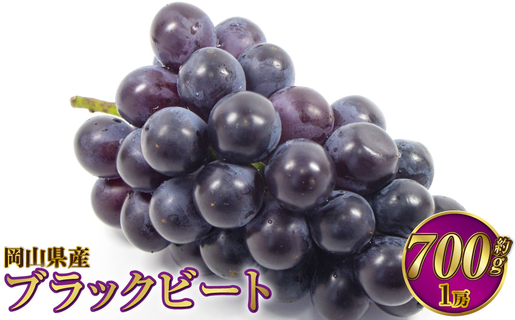 
            岡山県産 ブラックビート 約700g（1房）【2025年8月上旬～9月上旬発送予定】 ぶどう ブドウ 葡萄
          
