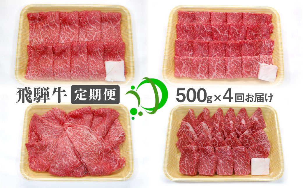 
                  《定期便》飛騨市産 飛騨牛 4回お届け 4ヶ月 焼肉 すき焼き しゃぶしゃぶ ミニステーキ 500g 5等級
                