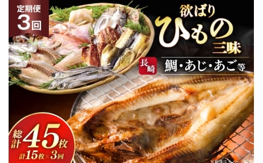 干物 セット 欲ばり平戸ひもの三昧 9種 詰め合わせ 3回 定期便 [篠崎海産物店 長崎県 平戸市 hr42bgy410148] ひもの 鯛 タイ あご あじ いわし かます さわら さば 朝食 一夜干し 魚介 あじの開き おつまみ つまみ ふっくら おかず 焼くだけ